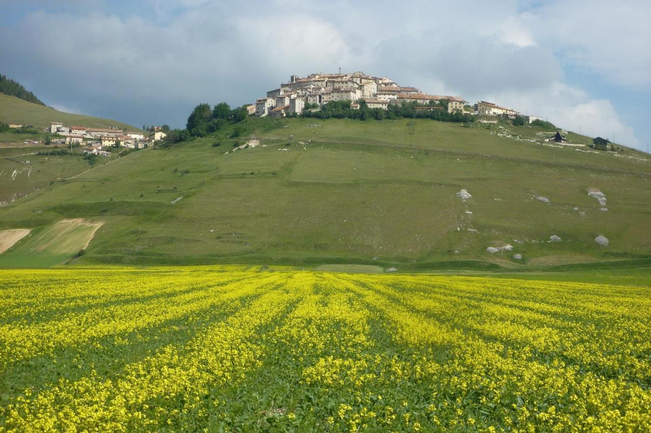 بيرودجا B&B Il Sognatore المظهر الخارجي الصورة