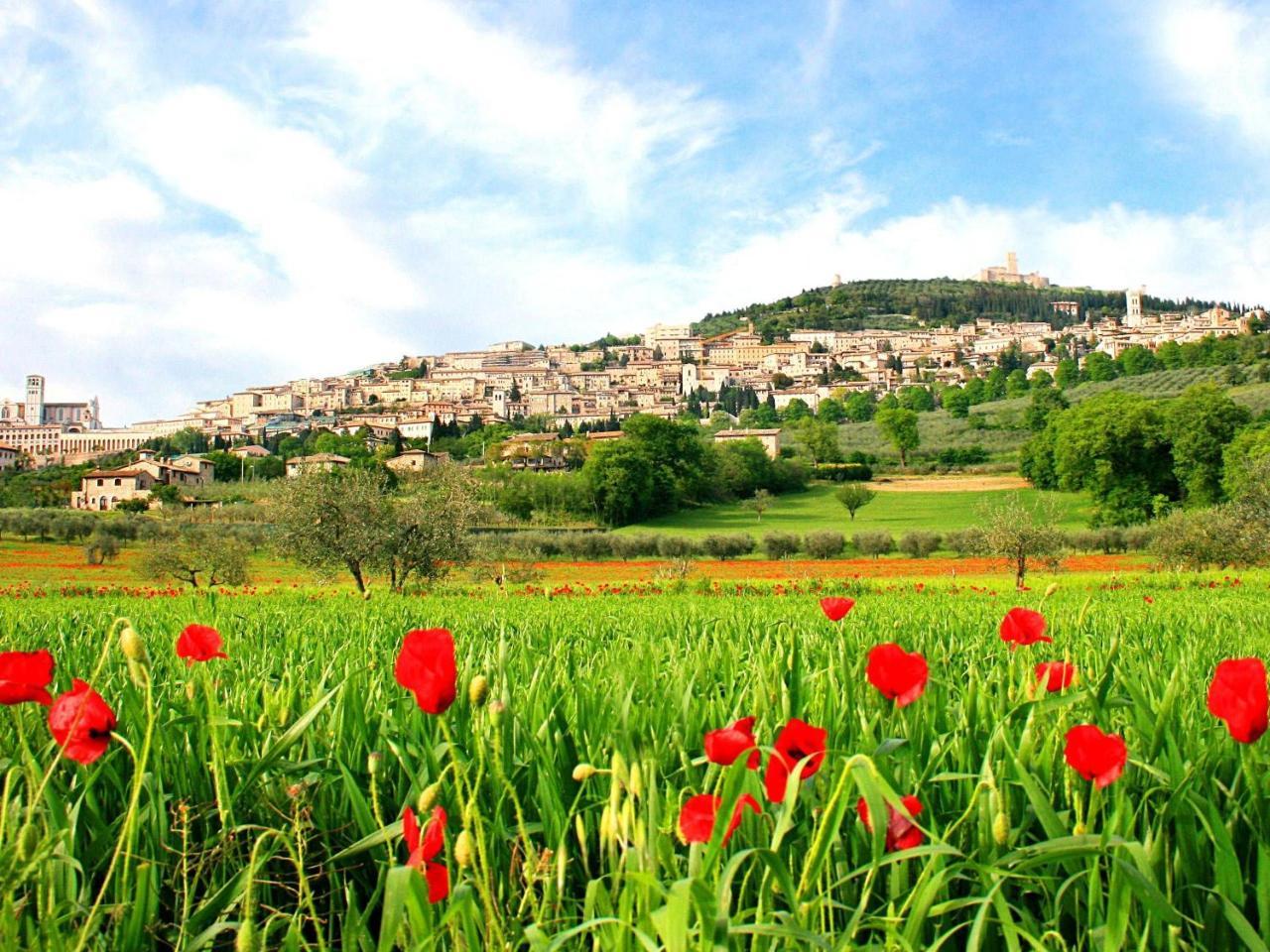 بيرودجا B&B Il Sognatore المظهر الخارجي الصورة